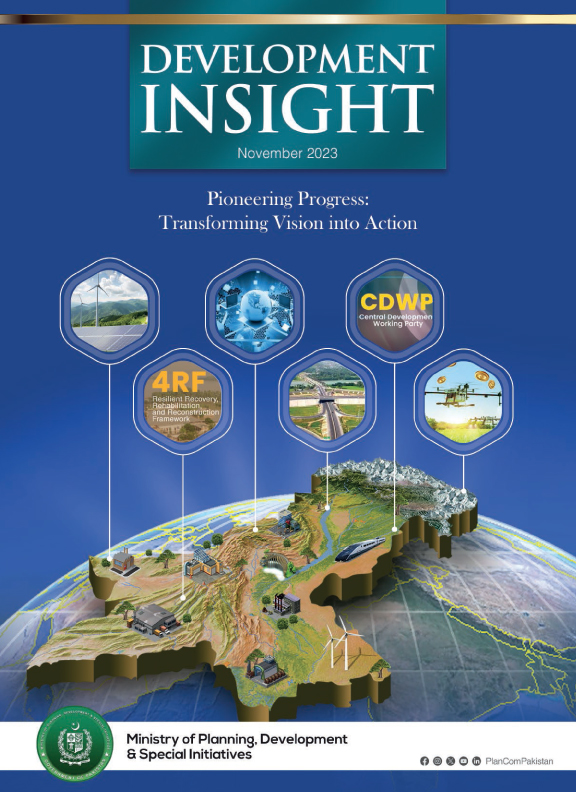 Cover of Development Insight November 2023